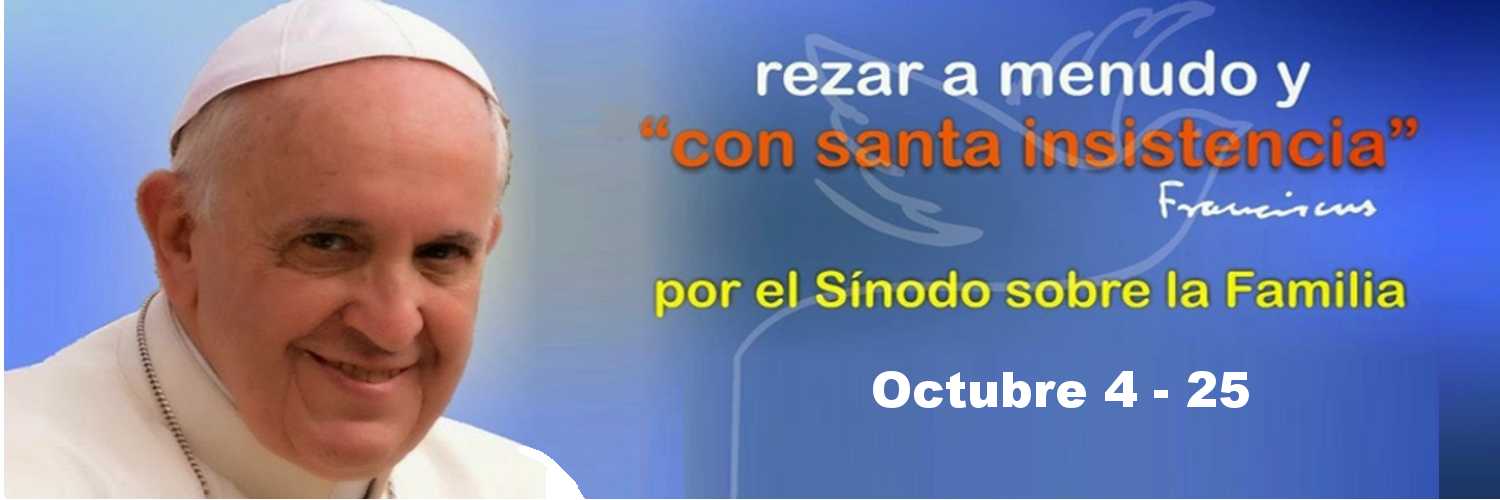 https://arquimedia.s3.amazonaws.com/256/noticias/sinodopng.PNG